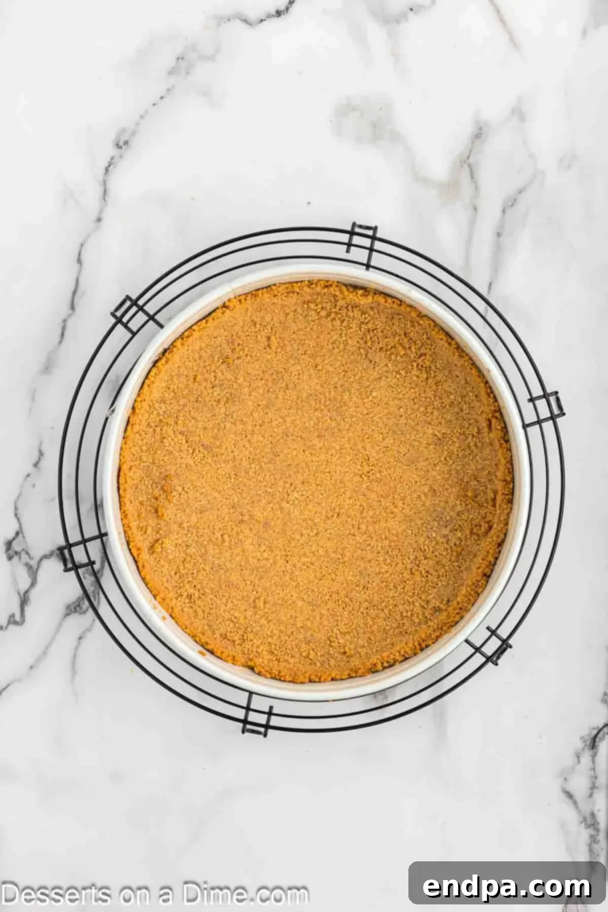 Golden Butter Pecan Cheesecake 7 A golden-brown graham cracker crust, evenly pressed into the bottom of a springform pan, ready for the cheesecake filling.