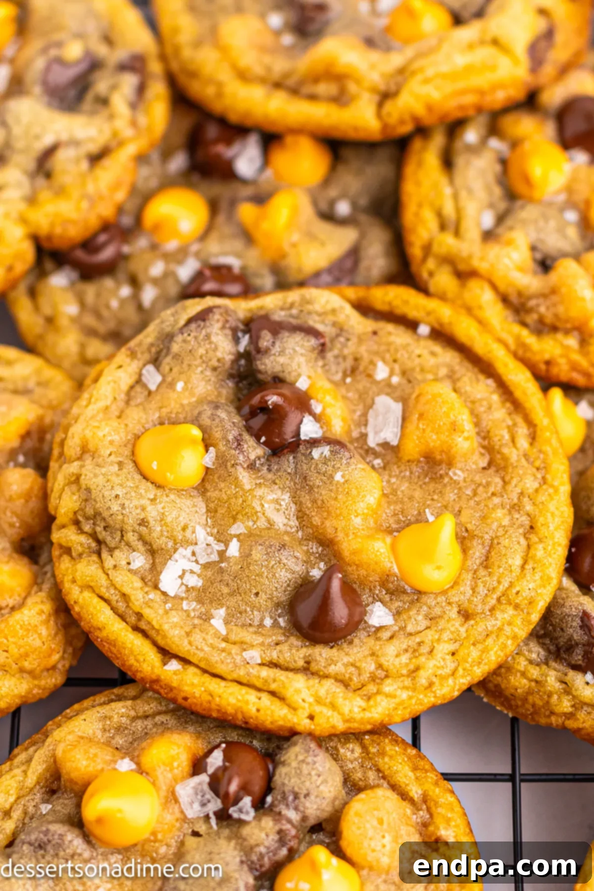 A stack of perfectly baked Butterscotch Chocolate Chip Cookies, showcasing their golden-brown edges and soft centers.