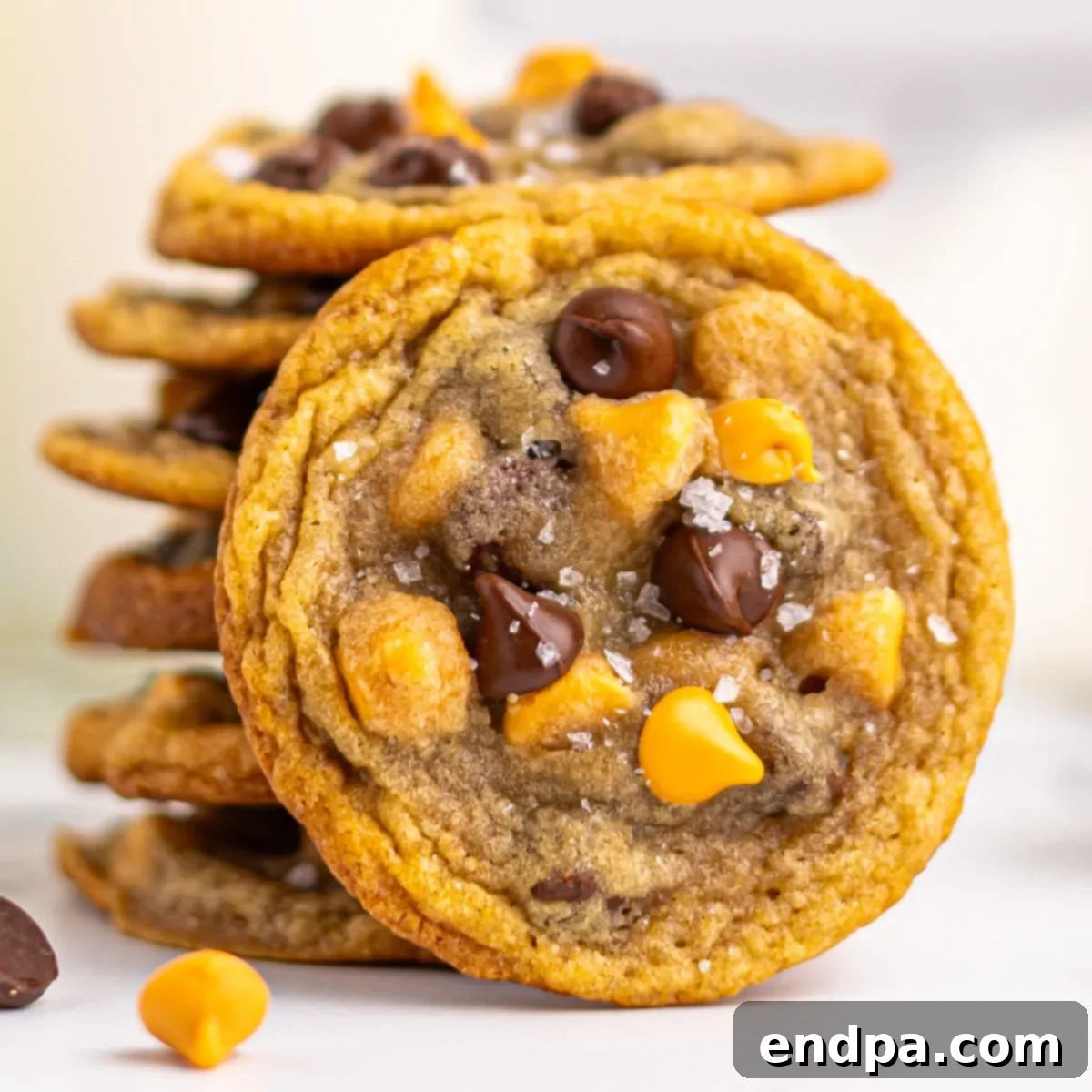 Delicious stack of Butterscotch Chocolate Chip Cookies