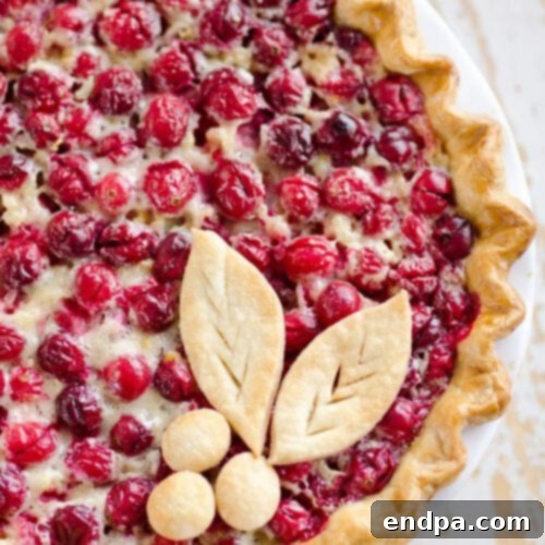 32 Christmas Pie Delights 10 A vibrant Cranberry Orange Custard Pie, a unique and festive dessert.