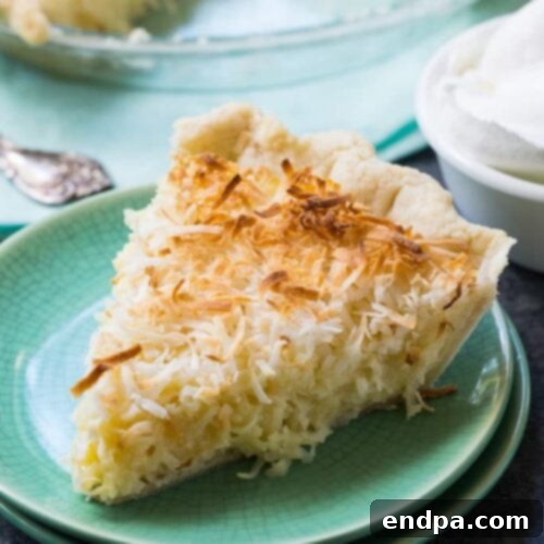 32 Christmas Pie Delights 14 A inviting Coconut Macaroon Pie, showcasing its rich, shredded coconut filling.