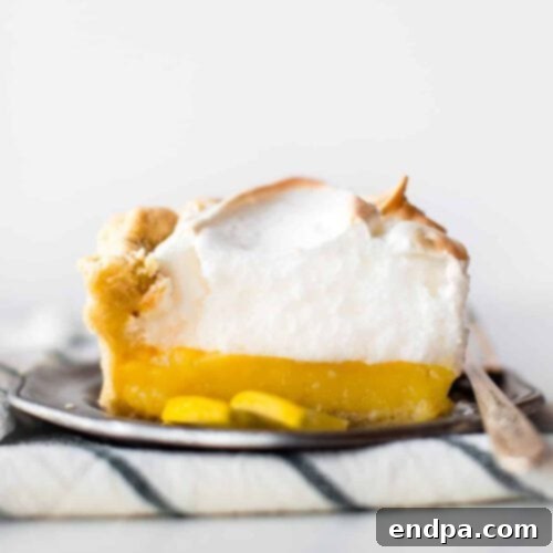 32 Christmas Pie Delights 15 A stunning Lemon Meringue Pie with a sky-high toasted meringue topping.