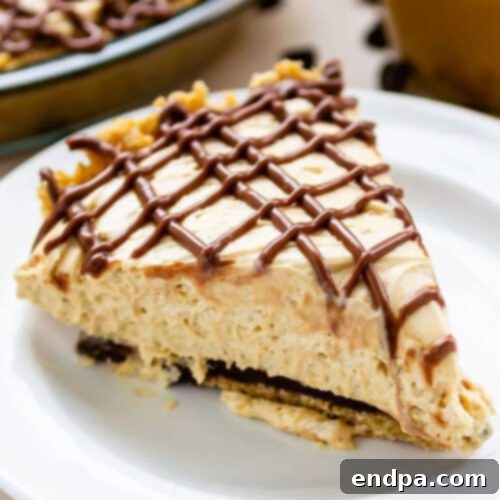 32 Christmas Pie Delights 22 A decadent Black Bottom Dulce de Leche Pie, no-bake and richly layered.