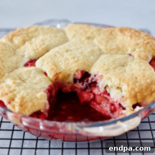 Festive Apple Creations 10 img 53350 35