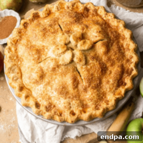 Festive Apple Creations 13 img 53350 38