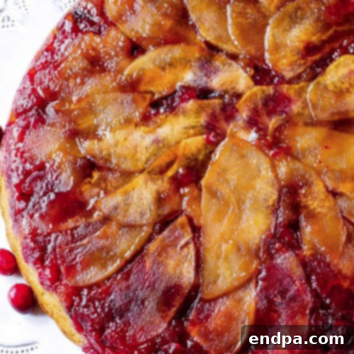 Festive Apple Creations 15 img 53350 40