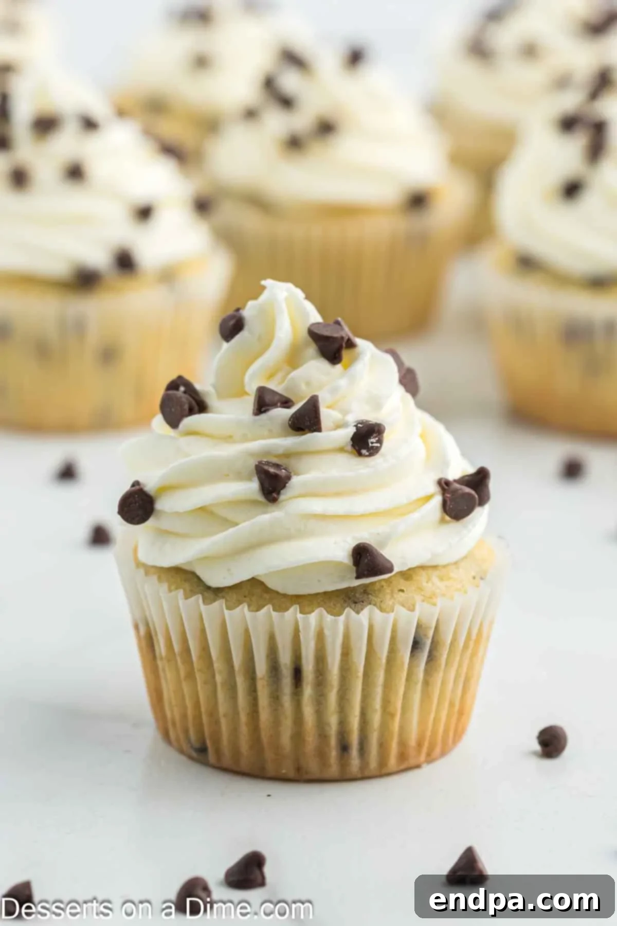 Decadent Chocolate Chip Cupcakes 2 Chocolate Chip Cupcakes decorated and ready to enjoy.