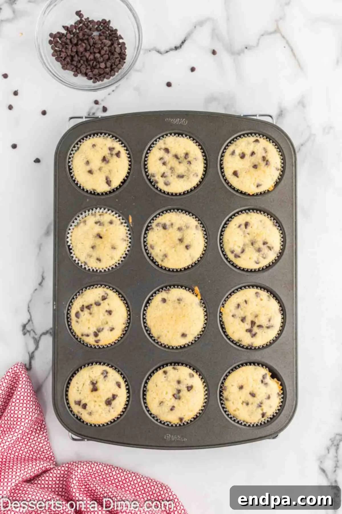 Decadent Chocolate Chip Cupcakes 8 Batter in muffin tin and baked.