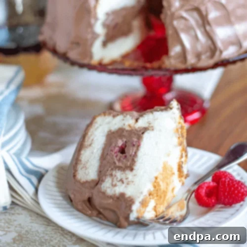 Angel Food Cake with Whipped Chocolate Frosting, a light cake topped with rich, creamy chocolate frosting.