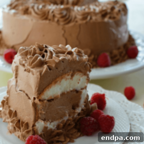 Indulgent French Silk Angel Food Cake with rich, creamy French silk filling and light, fluffy cake.