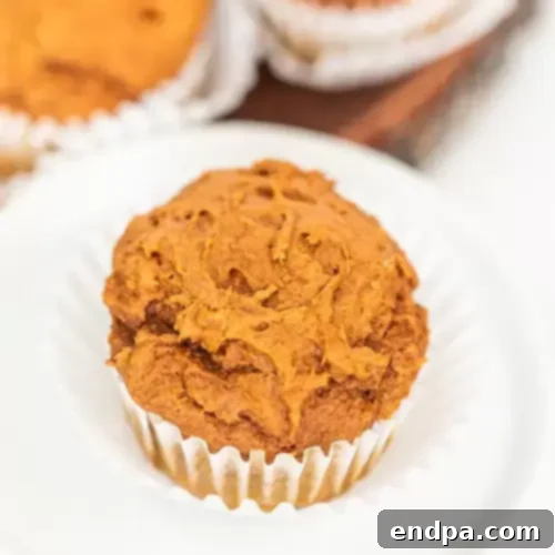 44 Irresistible Canned Pumpkin Desserts 6 img 53730 40