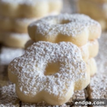 A pile of Italian cookies with powdered sugar on top.