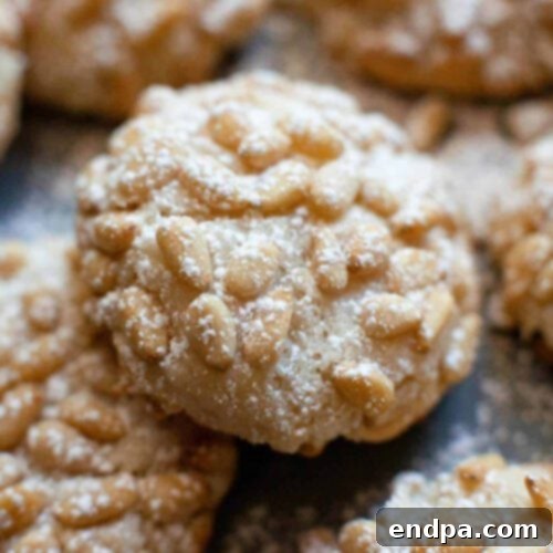 Close up of a pile of cookies with powdered sugar.