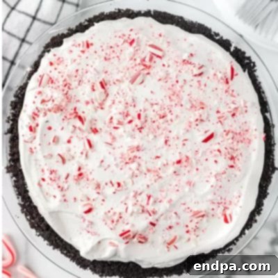Sweet Yuletide Treasures 17 Easy Candy Cane Pie Recipe with a decadent Oreo crust and creamy minty filling, a family favorite.