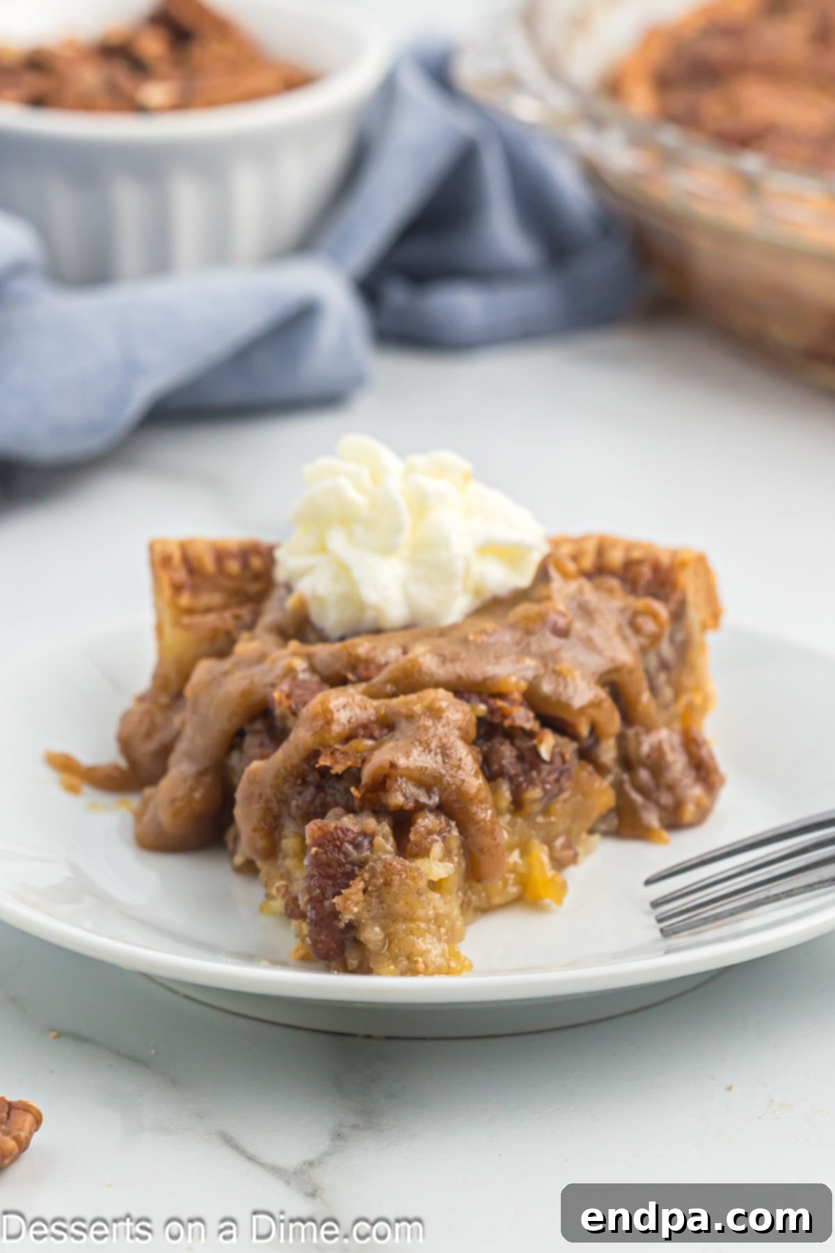 Paula Deen's Southern Comfort Pecan Pie 8 A perfect slice of Pecan Pie on a plate.