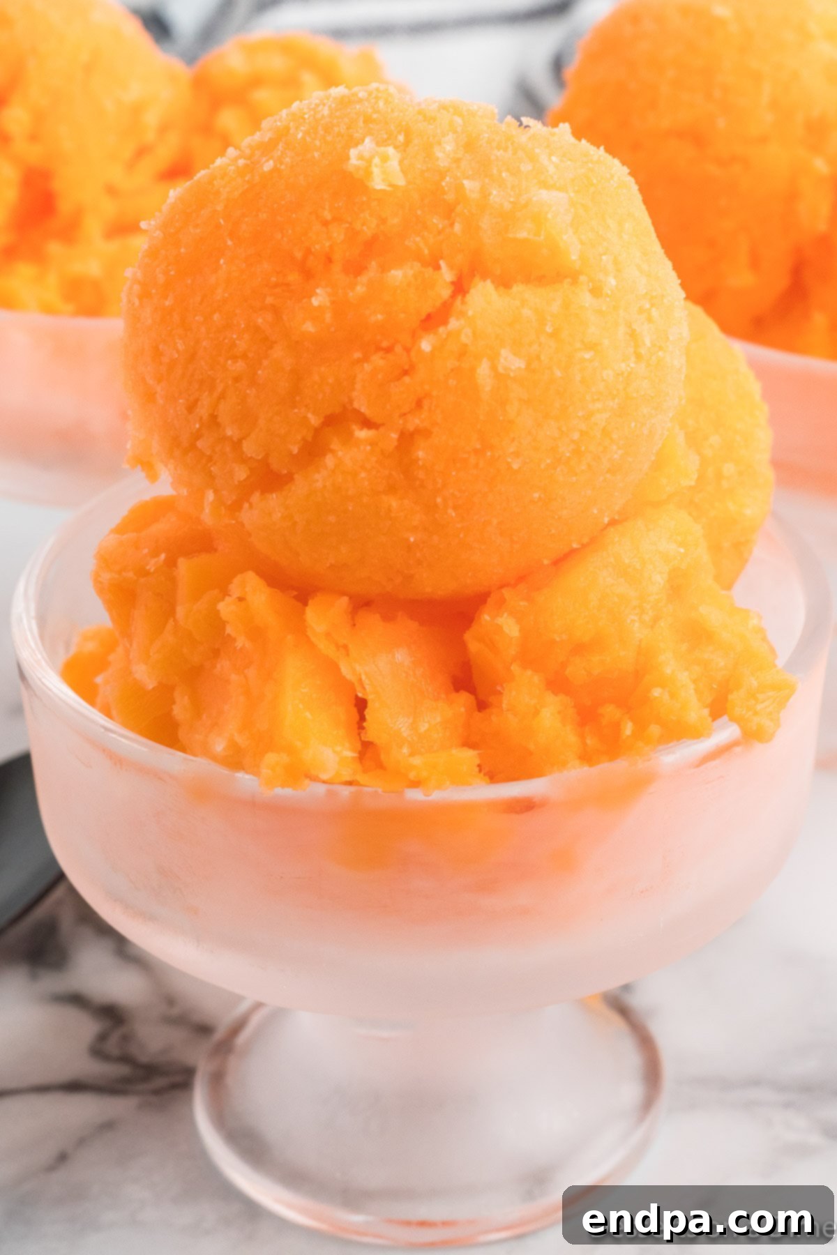 Sunset Swirl 2 Delicious Orange Sherbet in a clear serving dish, garnished with a fresh orange slice and mint.