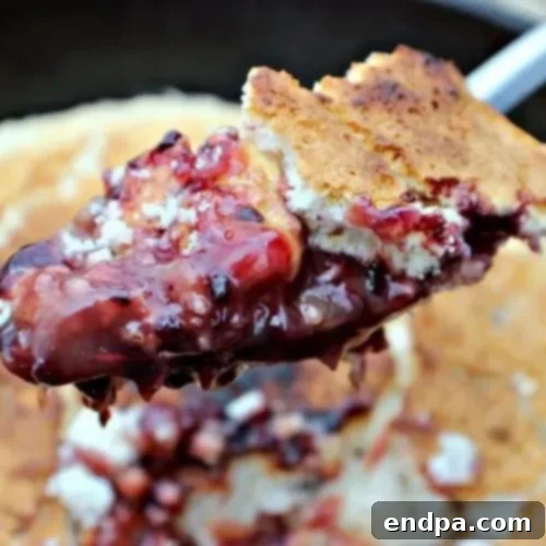 Ultimate Cobbler Collection 6 3 Ingredient Blackberry Campfire Cobbler cooked in a Dutch oven.