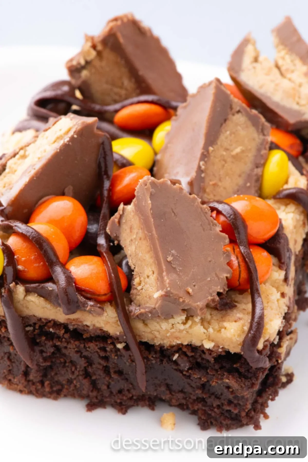 Decadent Reese's Peanut Butter Brownies 12 Close up of a single Reese's Pieces Brownie showing its layers and texture.