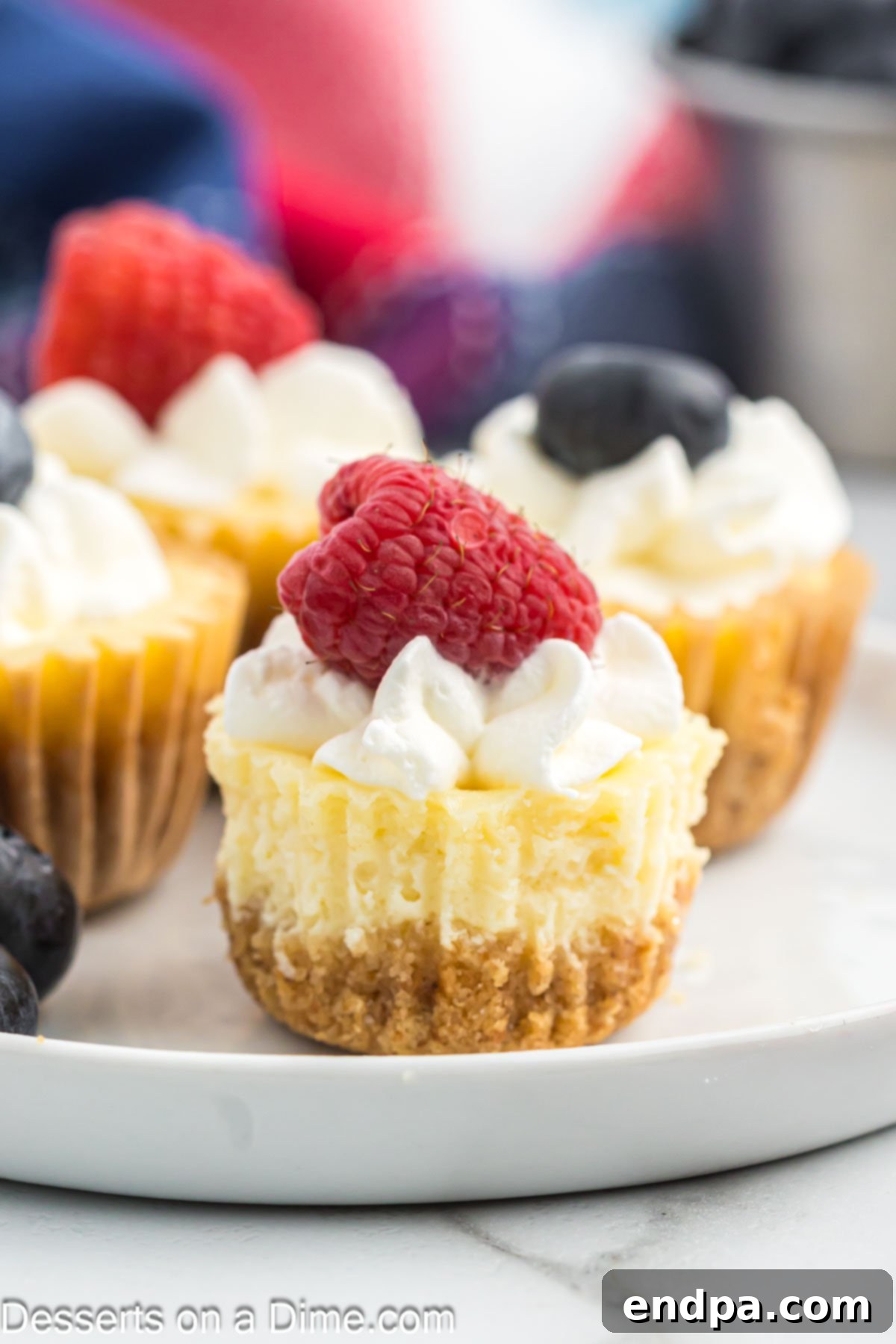 Mini Cheesecake Bites up close with fresh fruit, showcasing their individual charm and vibrant toppings.