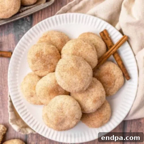 Mexico's Beloved Cookie Heritage 10 Mexican Cinnamon Cookies with a buttery texture and cinnamon-sugar topping.