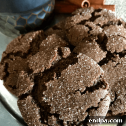 Mexico's Beloved Cookie Heritage 12 Chewy Mexican Hot Chocolate Cookies, soft and rich in flavor.