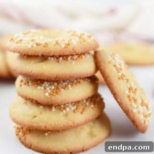 Mexico's Beloved Cookie Heritage 14 Galletas Mexican Cookies, perfect for learning about global traditions.