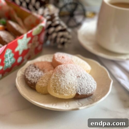 Mexico's Beloved Cookie Heritage 18 Mexican Tricolor Shortbread Cookies, festive and delicious.