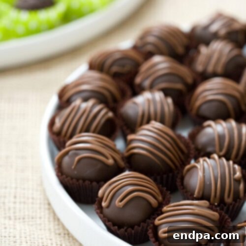 Mexico's Beloved Cookie Heritage 20 Mexican Chocolate Chip Cookie Dough Truffles with a hint of spice.