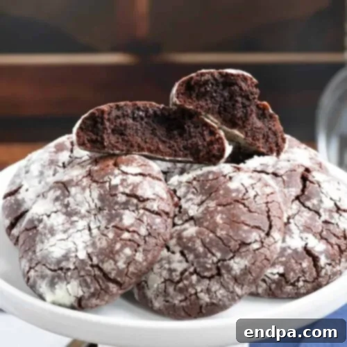 Mexico's Beloved Cookie Heritage 21 Mexican Mocha Crinkle Cookies with their signature powdered sugar crackle.