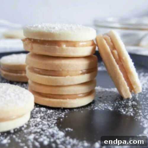 Mexico's Beloved Cookie Heritage 24 Dulce de Leche Sandwich Cookies (Alfajores) with rich filling.