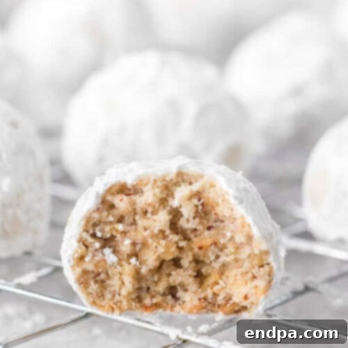 Mexico's Beloved Cookie Heritage 3 Delicious Snowball Cookies covered in powdered sugar.