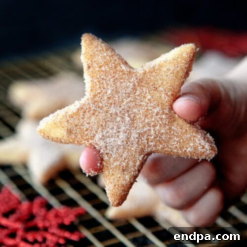 Mexico's Beloved Cookie Heritage 6 Star-shaped Biscochitos, a traditional New Mexican cookie.