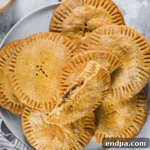 Mexico's Beloved Cookie Heritage 8 Coyotas, a flat and filled cookie from Sonora, Mexico.