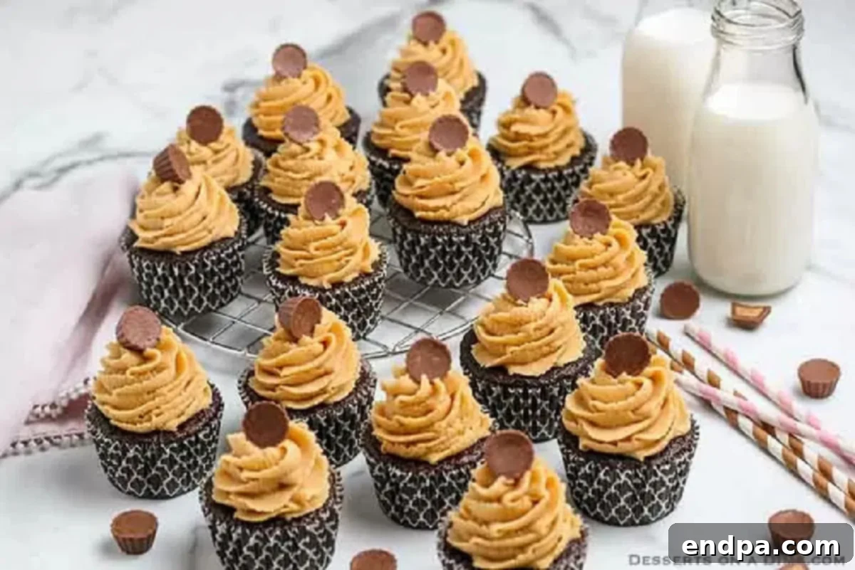 Baked chocolate peanut butter cupcakes, frosted and garnished, arranged on a cooling rack ready to be served.