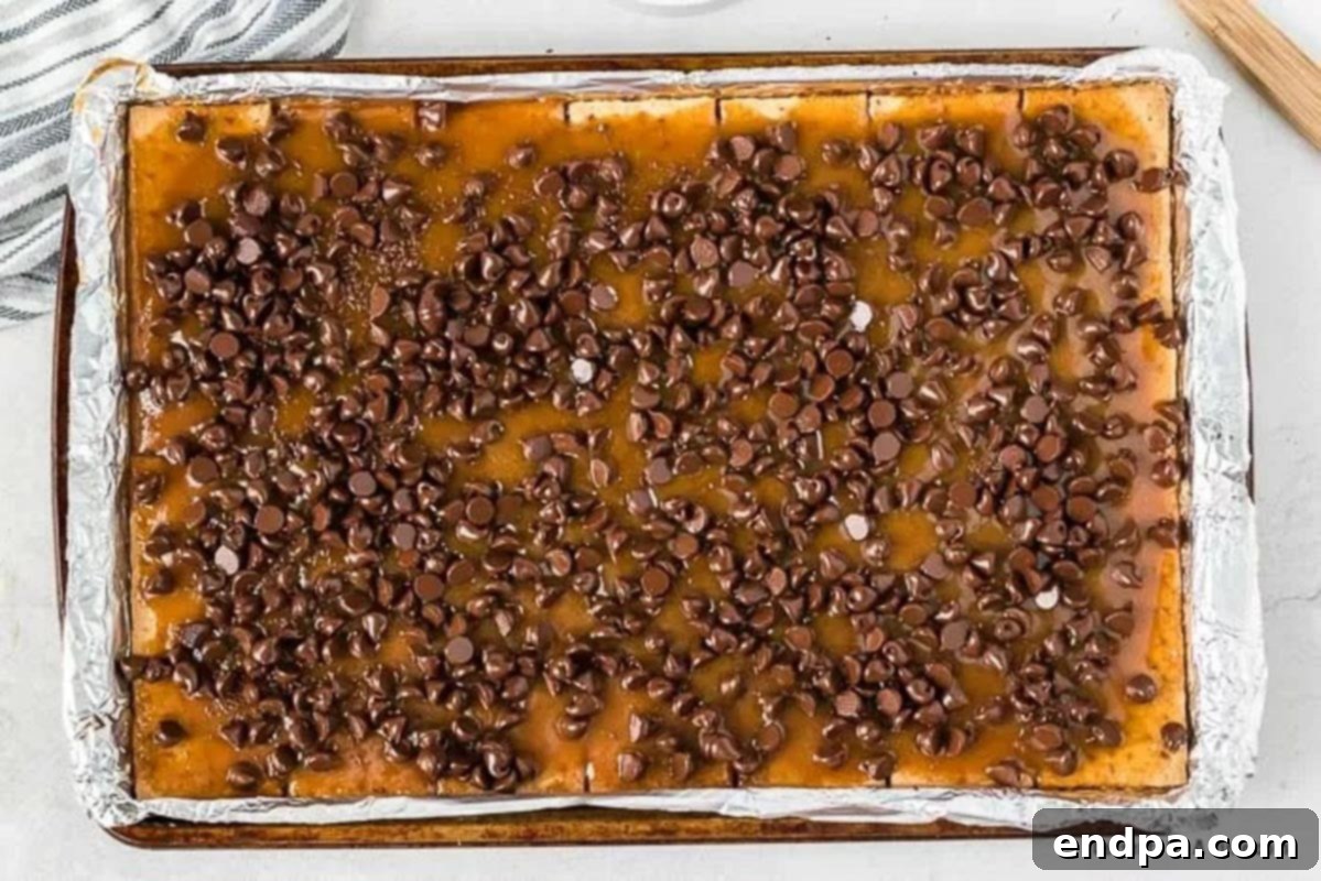 Semi-sweet chocolate chips sprinkled generously over the hot toffee-coated graham crackers, fresh out of the oven.