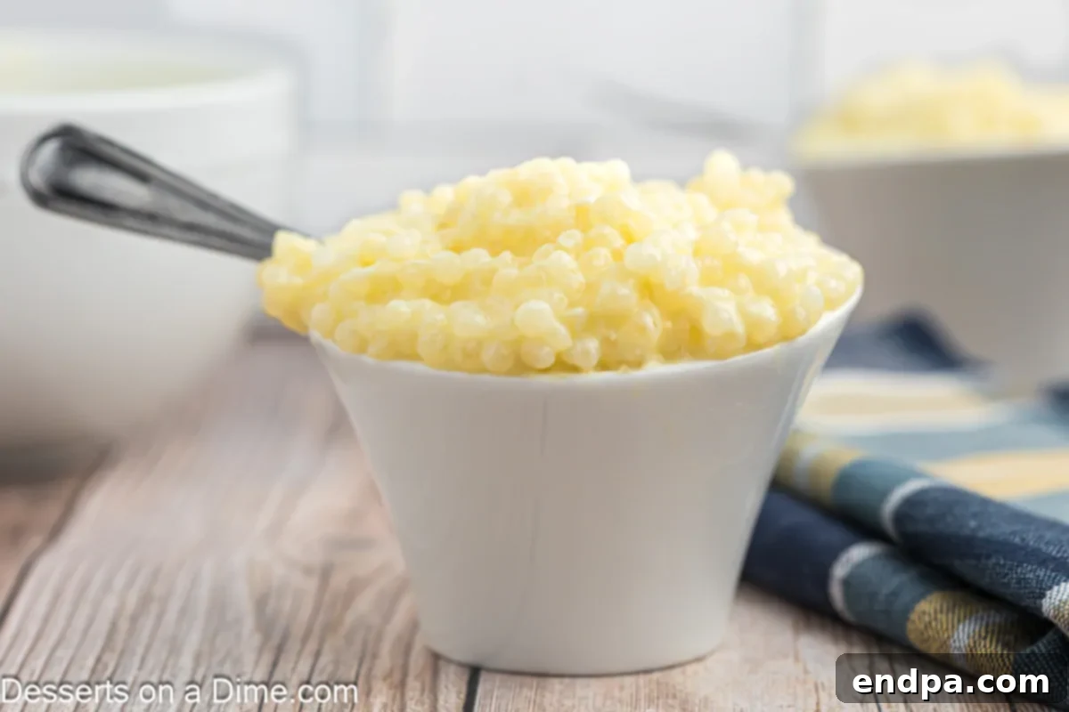 A beautifully presented bowl of creamy tapioca pudding, garnished lightly, with a spoon resting inside, ready to be enjoyed.