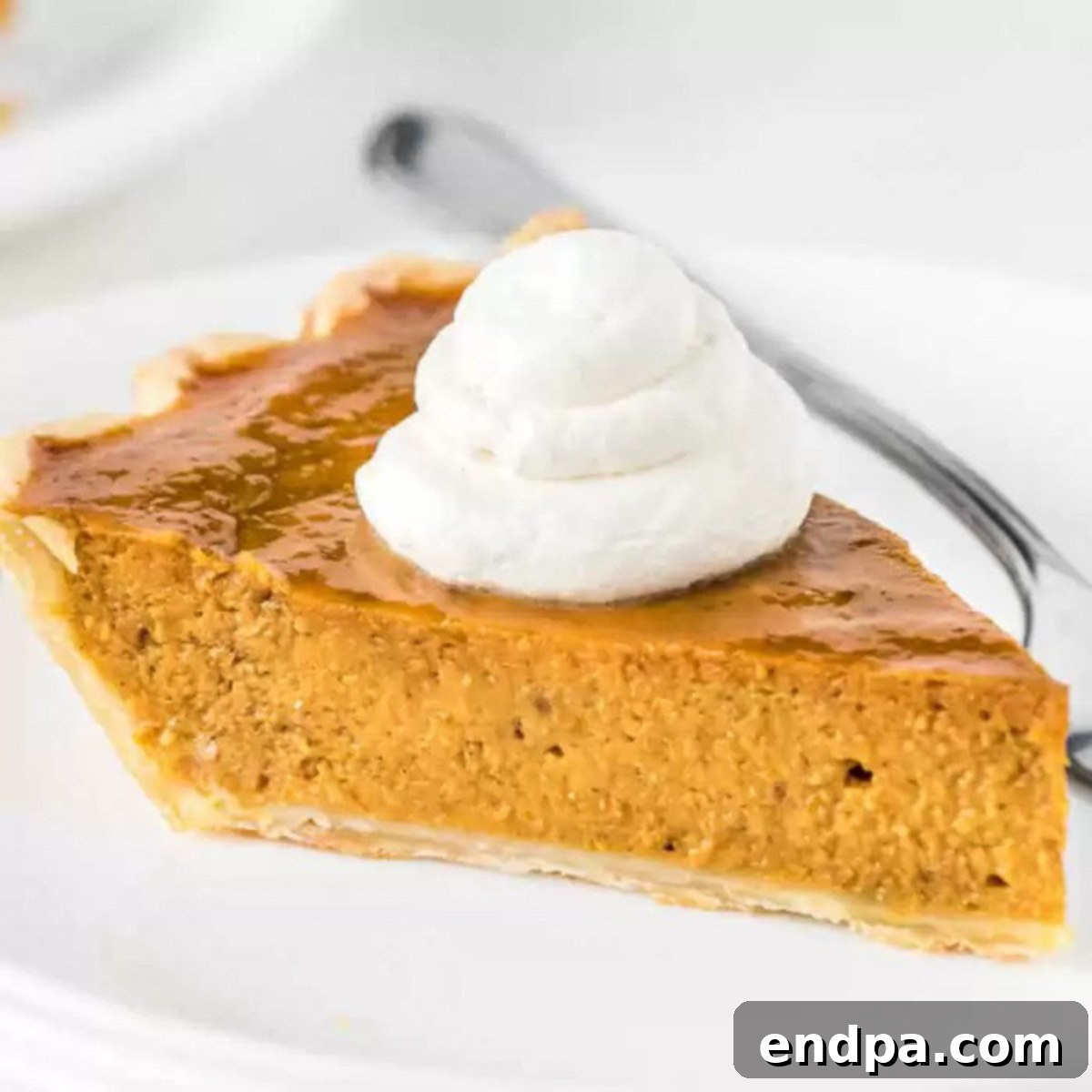 A slice of Pumpkin pie topped with whipped cream on a plate