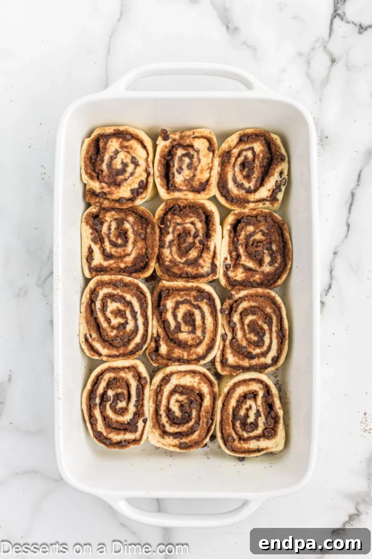 Sliced chocolate chip cinnamon rolls arranged in a baking dish, spiral side up.