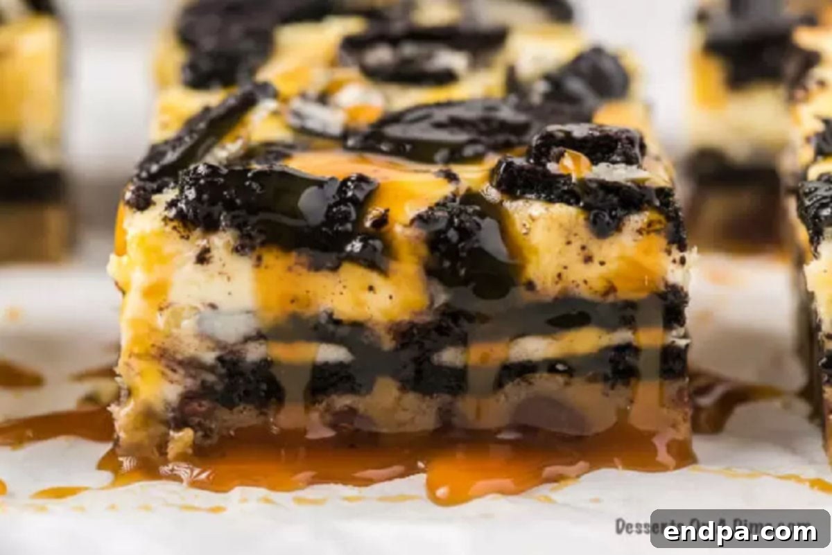 Ultimate Decadence Cheesecake Bars 9 A single Slutty Cheesecake Bar, beautifully topped with a generous drizzle of warm caramel sauce.