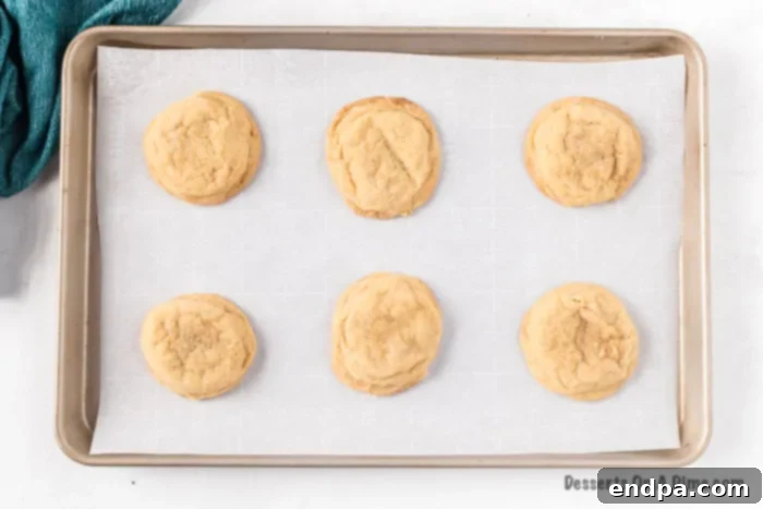 Brown sugar cookies arranged on a baking sheet, freshly baked and golden.