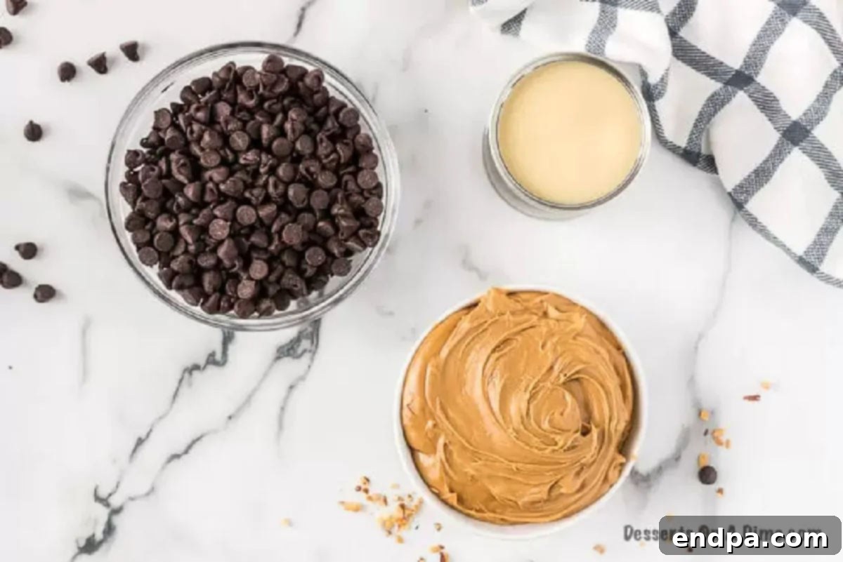 Key ingredients for chocolate peanut butter fudge laid out: semi-sweet chocolate chips, sweetened condensed milk, creamy peanut butter, and optional peanuts.