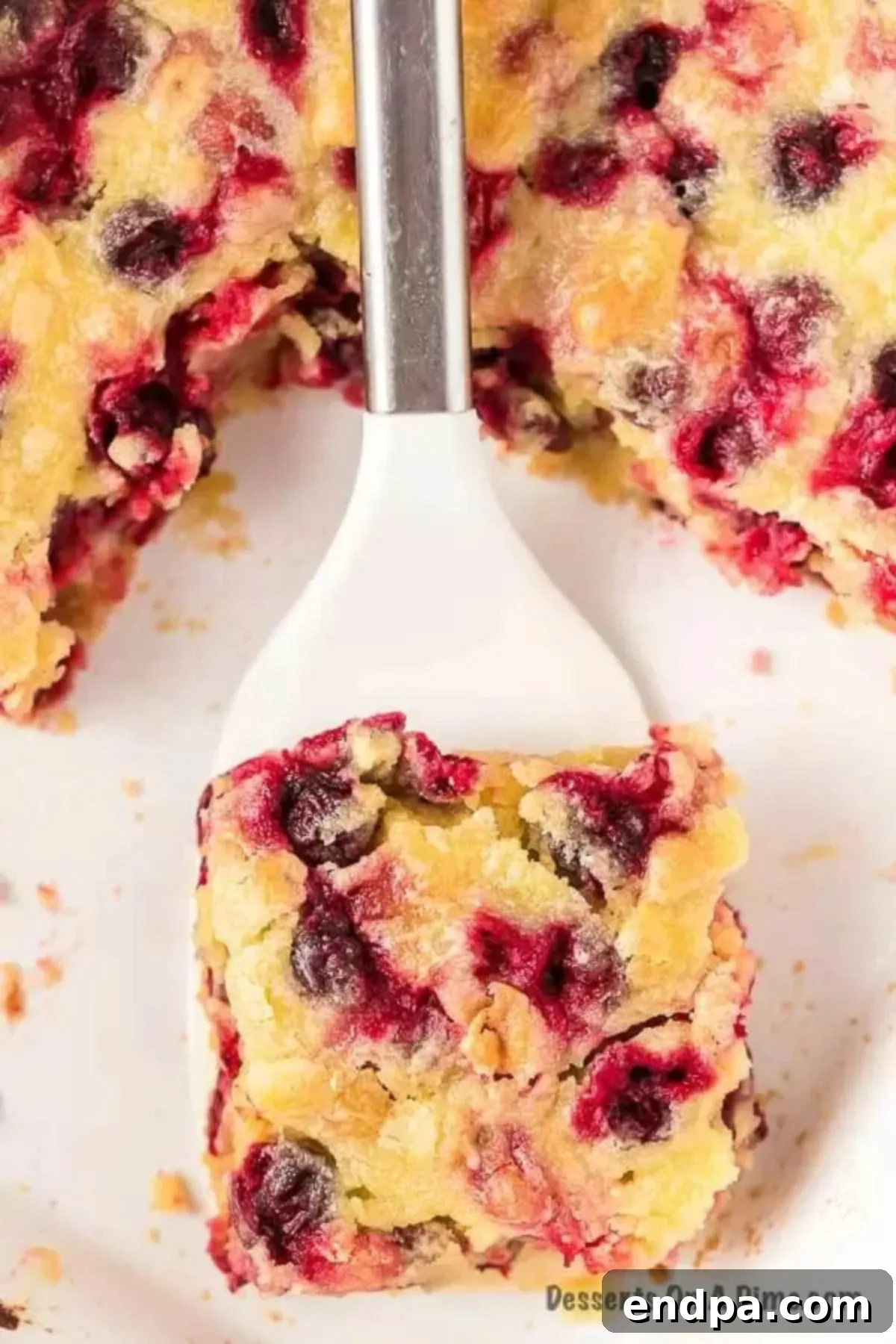 A square slice of Christmas Cranberry Cake on a spatula