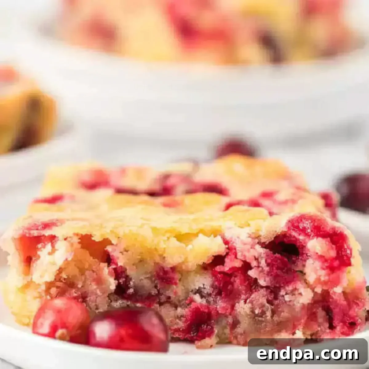 Cranberry Cake, a perfect sweet-tart dessert