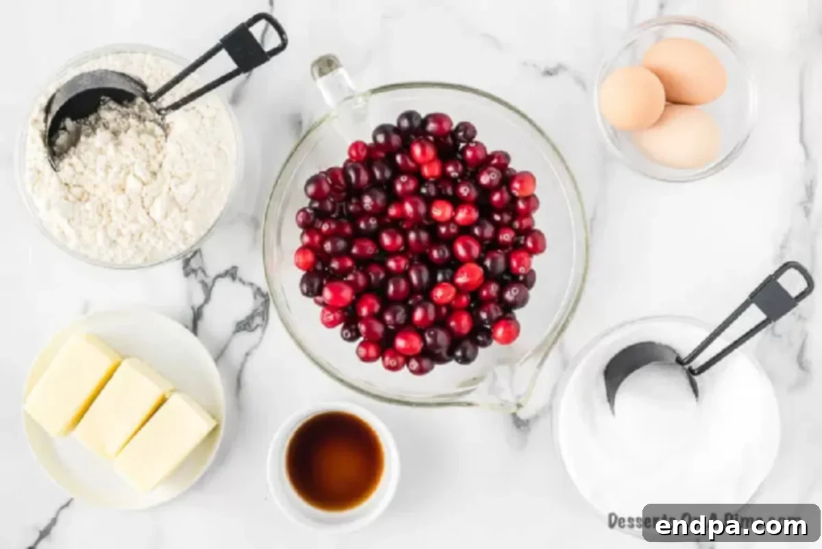 Assorted ingredients for Cranberry Cake: eggs, sugar, butter, vanilla, flour, fresh cranberries