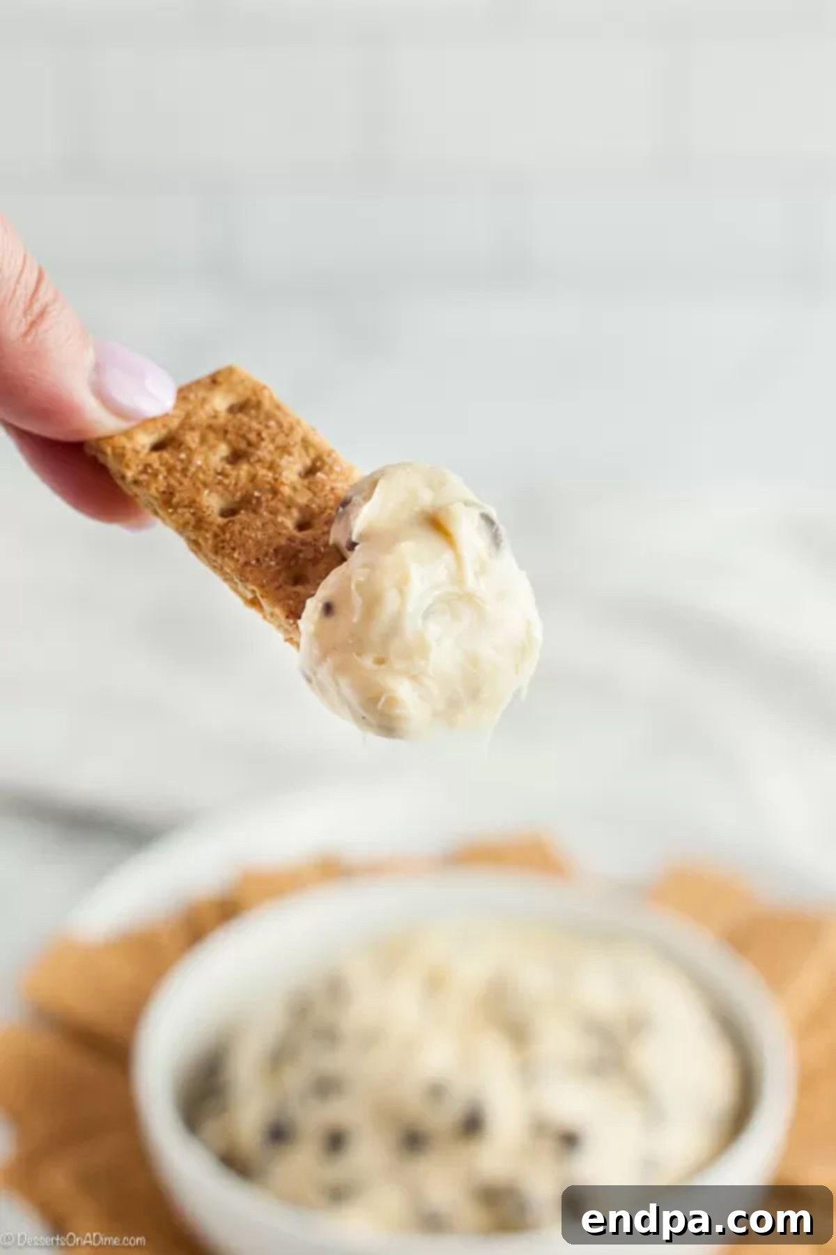 A vibrant platter featuring a bowl of Chocolate Chip Cookie Dough Dip surrounded by an assortment of dippers like graham crackers, pretzels, and fresh fruit slices.