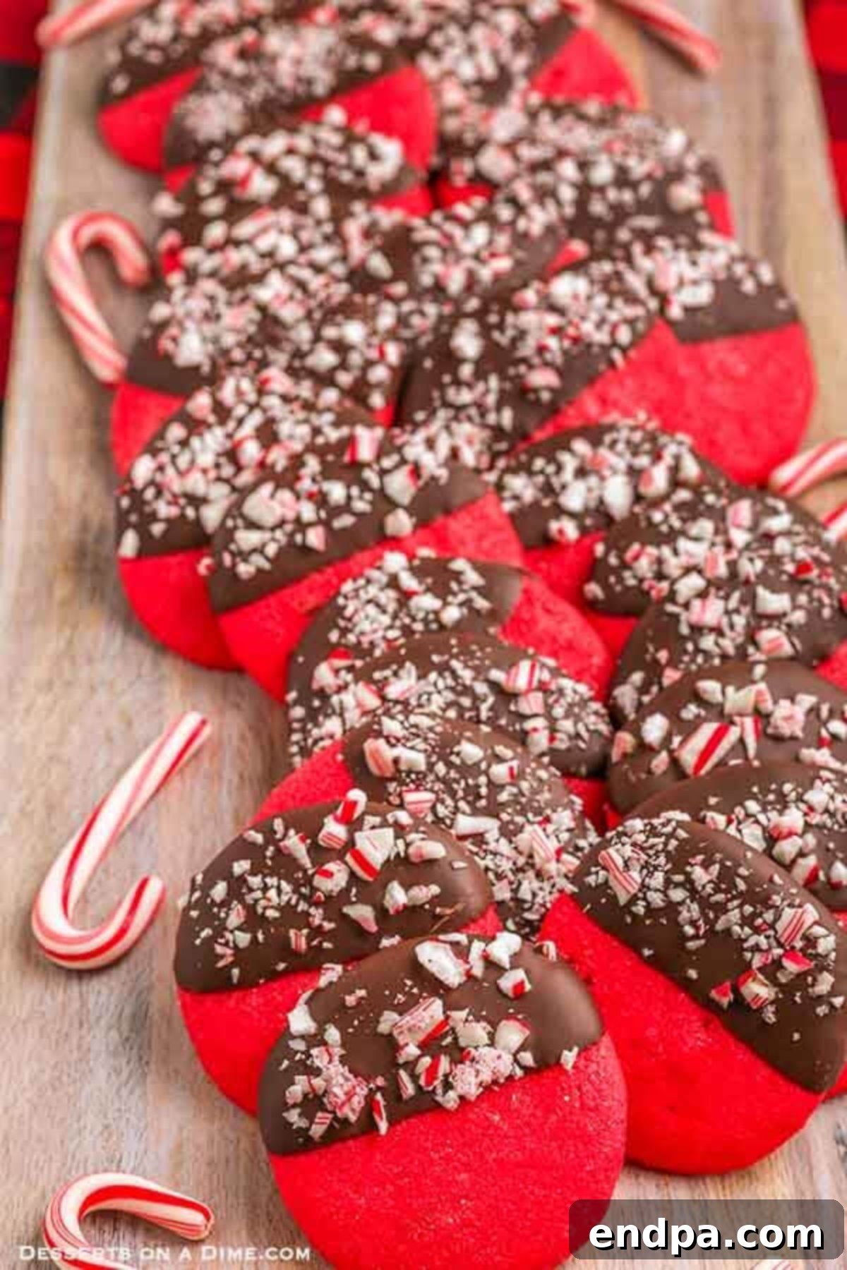 Dark Chocolate-Dipped Peppermint Cookie Delights 13 Chocolate dipped peppermint cookies on a platter, garnished with candy canes.