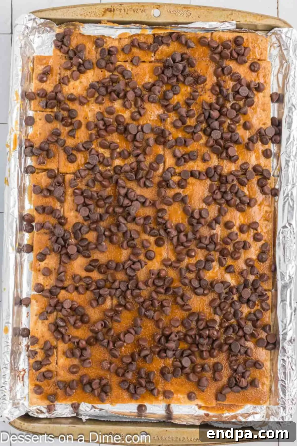 Chocolate chips spread on top of mixture.