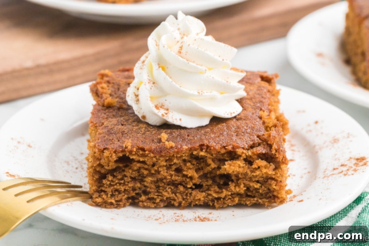 A second close-up view of a slice of moist gingerbread cake, topped with a swirl of whipped cream and a light dusting of powdered sugar, presented on a plate.