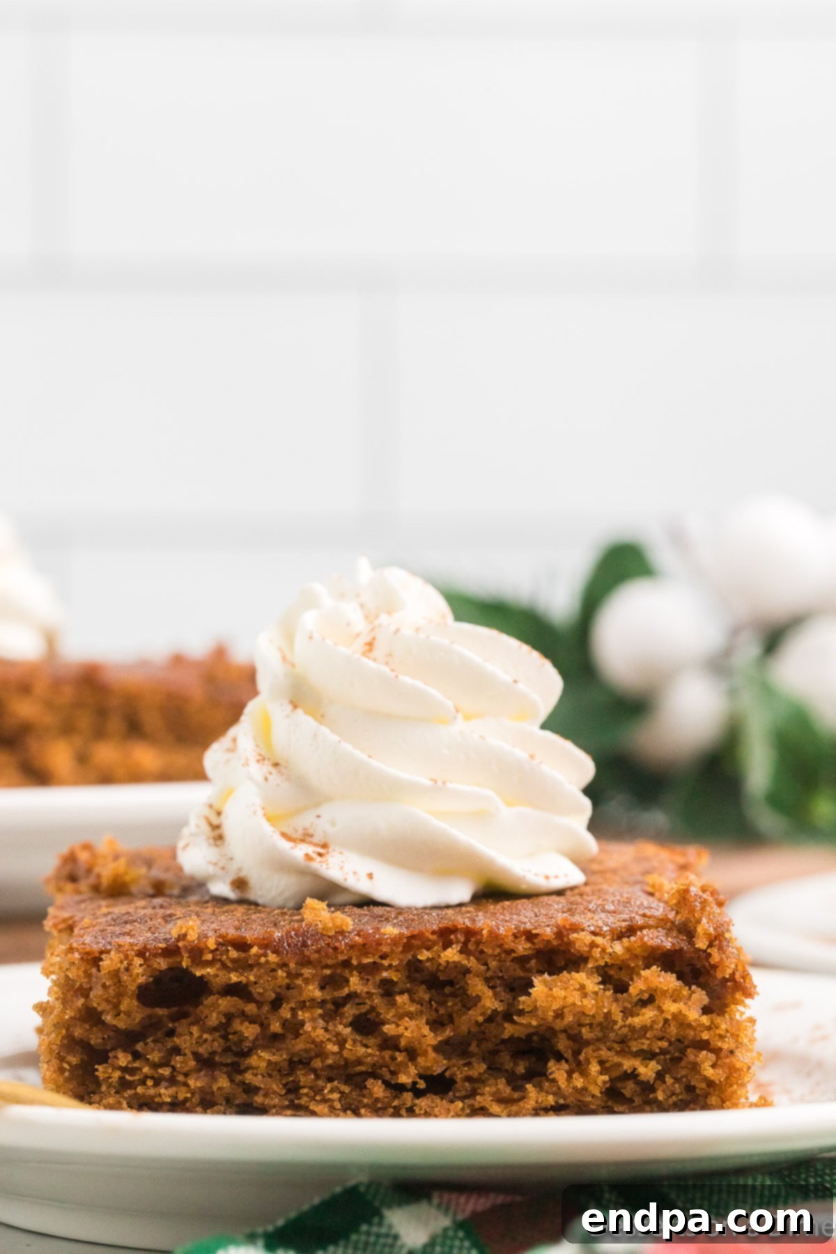 Two generous slices of gingerbread cake, adorned with fluffy whipped cream and a delicate dusting of powdered sugar, presented on individual white plates, emphasizing their moist texture and festive appeal.