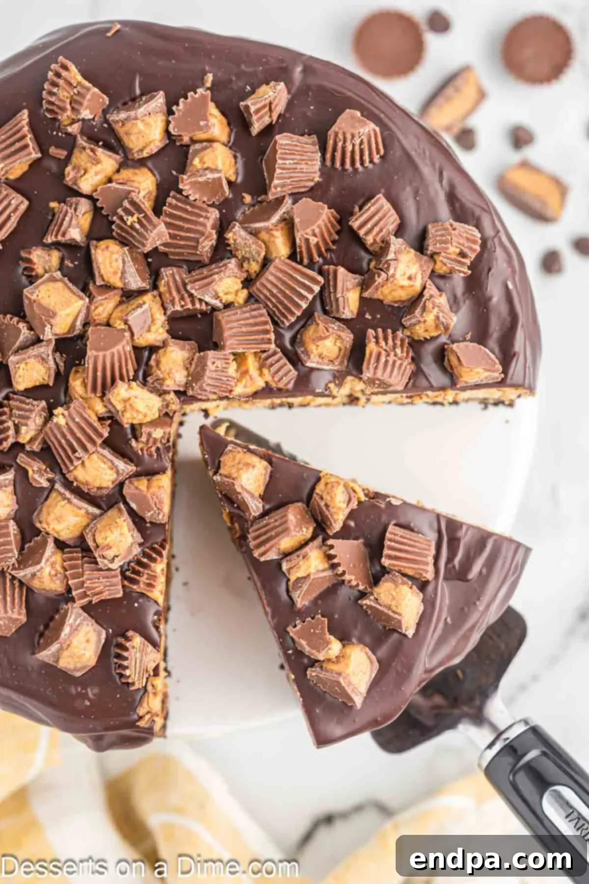 Cheesecake sliced and ready to serve. 